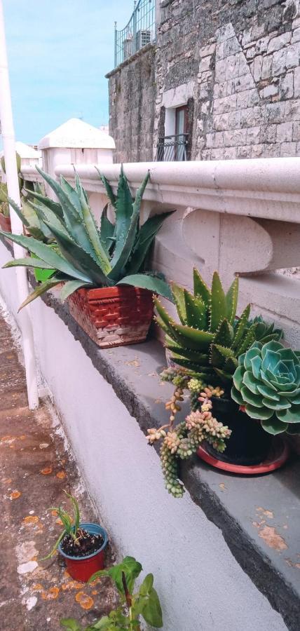 Ferienwohnung Tappa A Bitonto Exterior foto