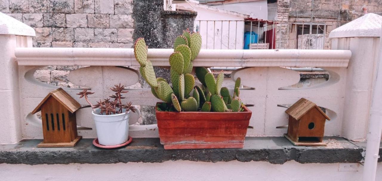 Ferienwohnung Tappa A Bitonto Exterior foto