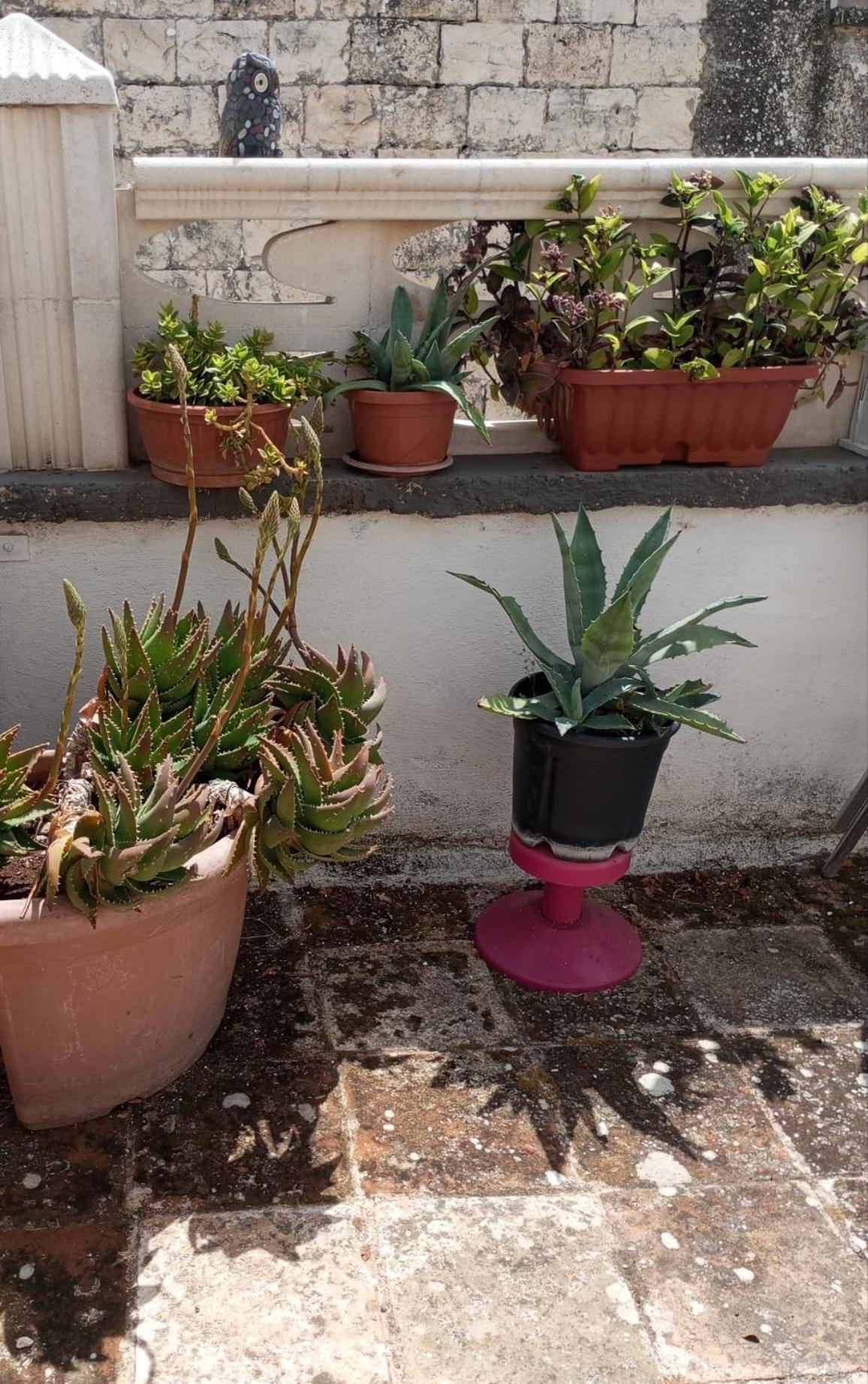 Ferienwohnung Tappa A Bitonto Exterior foto